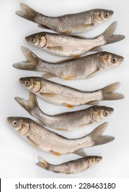 Small Fresh Fish On A White Background