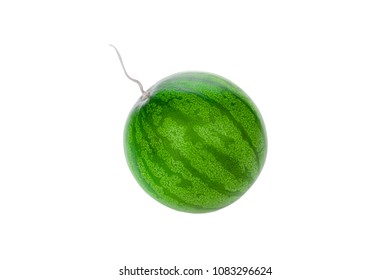 Small fresh ripe striped sliced watermelon isolated on white n background