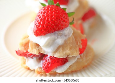 Small fresh strawberry shortcakes closeup