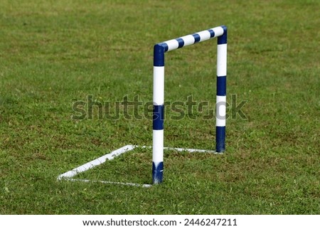 Small freshly painted blue and white metal goal post without back net used for children soccer practice at local playground on uncut grass on warm sunny summer day