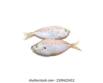 Small Frozen Fish, The ponyfish (Leiognathidae) Isolated On White Background, Selective Focus