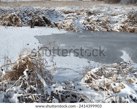 small frozen swampland lake with snow