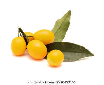 small fruit of kumquat on a branch isolated on white background  - Shutterstock ID 2280420155