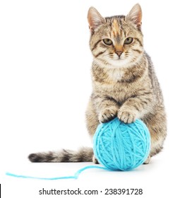 25,514 Cat Playing With Ball Images, Stock Photos & Vectors | Shutterstock