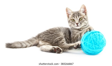 2,145 Cat playing string Stock Photos, Images & Photography | Shutterstock