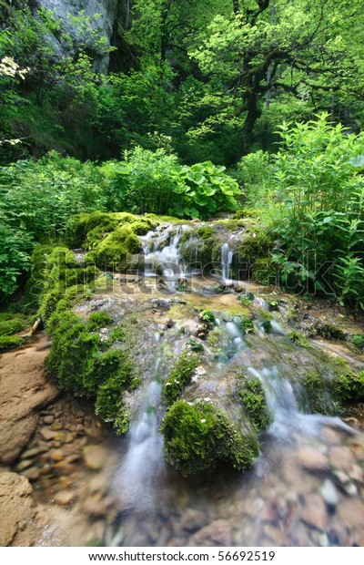 Small Garden Eden Romanian Carpathian Mountains Stock Photo Edit