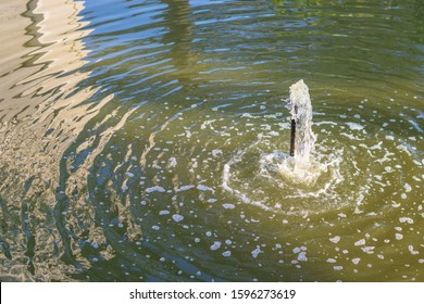 Small garden fountain in a pond with blue-green algae in water. Doppler effect water waves.