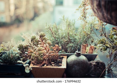 A Small Garden On A Balcony In An Urban Setting