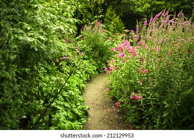 A Small Garden Path Amidst Lush Green Vegetation And Purple And Pink Perennials. Sun And Shadow