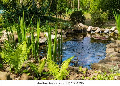 Small garden pond with stone shores and many decorative evergreens. Selective focus. Evergreen spring landscape garden. In foreground ostrich fern. Nature concept for design. - Shutterstock ID 1711206736