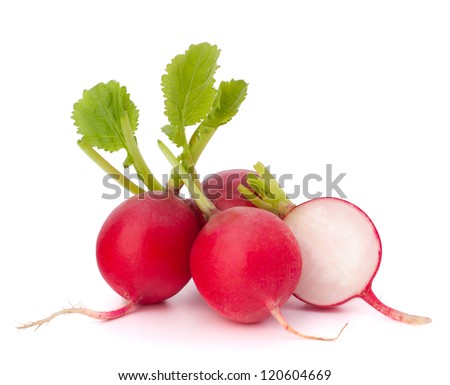 Small garden radish isolated on white background cutout