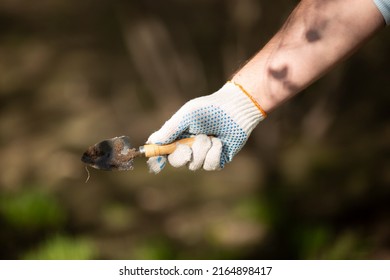 Small Garden Shovel In A Farmer's Hand With A Glove