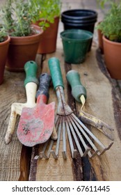 Small Garden Tools And Potted Herbs On A Plant Table.