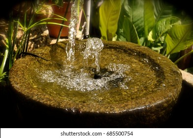 Small Garden Water Feature And Green Plants