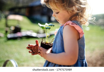 Small girl with dirty hands outdoors in garden, sustainable lifestyle concept. - Shutterstock ID 1797575989