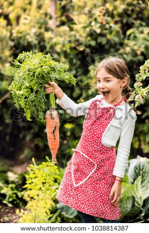 Similar – Image, Stock Photo Carrots from small organic farm. Kid farmer hold carrots