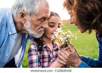 A Small Girl With Her Senior Grandparents Smelling Flowers Outside In Nature.