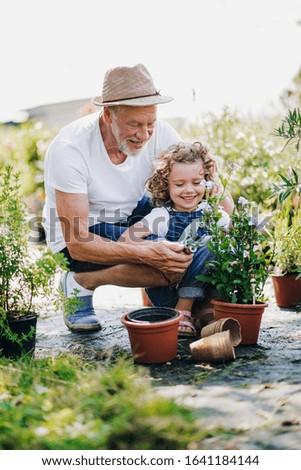 Similar – Alter Garten Frühling