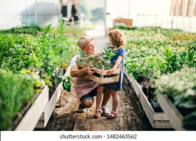 Small girl with senior grandfather gardening in the greenhouse. - Powered by Shutterstock