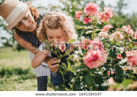 Similar – Alter Garten Frühling