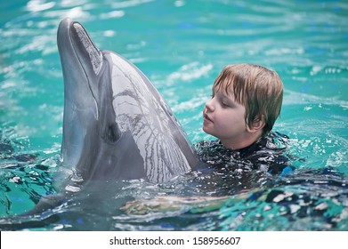 The small girl swimming with a dolphin