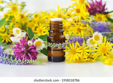 Small Glass Bottle With Essential Oil (herbal Tincture, Extract, Infusion) And Wild Flowers. Aromatherapy, Homemade Spa And Herbal Medicine Ingredients. Copy Space. 