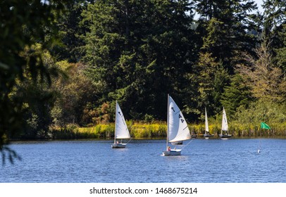 sabot sailboats