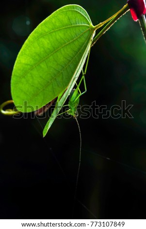 Similar – Image, Stock Photo time for togetherness