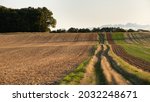 Small grassy path in an agricultural plain in northern France. Fields at the end of the summer after the harvest. Small oak woods on the mound. Cloudy sky with beautiful golden evening light