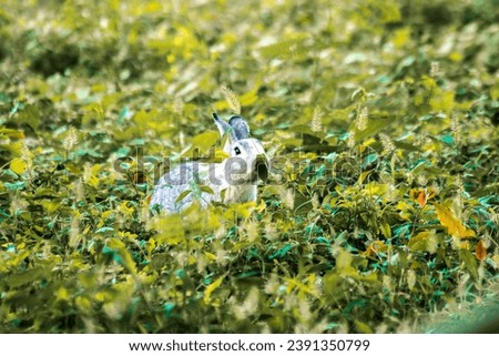 Small gray rabbit nesting in the grass, rabbit in the grass