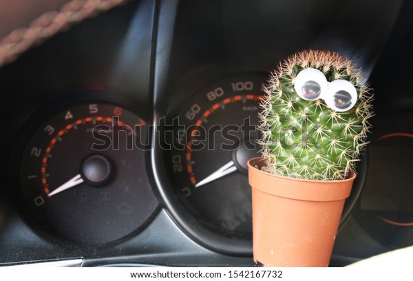 A small green cactus with\
eyes is standing on the dashboard of a car, behind it is a\
speedometer.