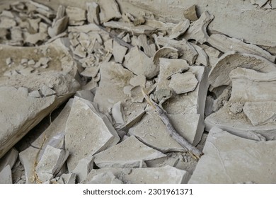 Small green frog on broken rocks and sand - Powered by Shutterstock