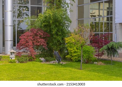 Small Green Garden Oasis At Business Building Corner Landscaping