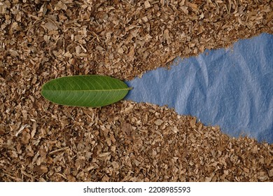 A Small Green Leaf On Dry Leaves Crumbs With Space For Text