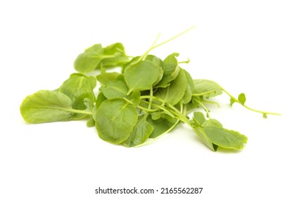 Small Green Leaves Of Watercress Salad Isolated On White Background
