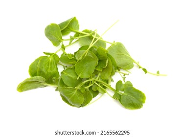 Small Green Leaves Of Watercress Salad Isolated On White Background
