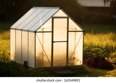 Small Greenhouse In Backyard