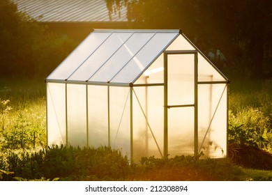 Small Greenhouse In Backyard