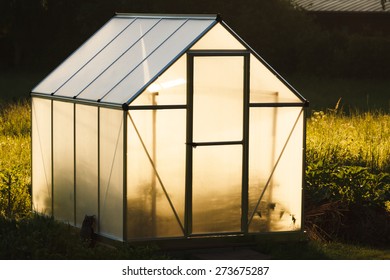 Small Greenhouse In Backyard