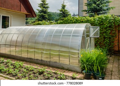 Small Greenhouse In The Backyard