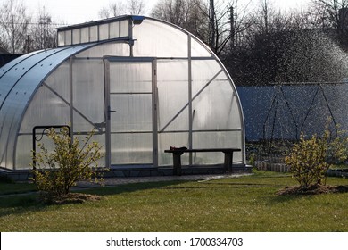 A small greenhouse made of aluminum frame and transparent polycarbonate in a private yard in the spring. In front of the greenhouse is a green lawn and honeysuckle bush.