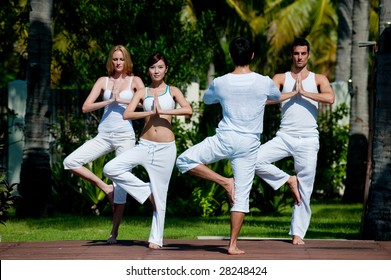 A Small Group Of Adults Attending A Yoga Class Outside In A Tropical Setting