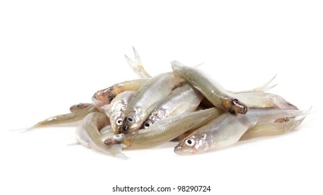 Small Group Of European Smelt (Osmerus Eperlanus) Is A Species Of Fish In The Osmeridae Family Studio Isolated On White