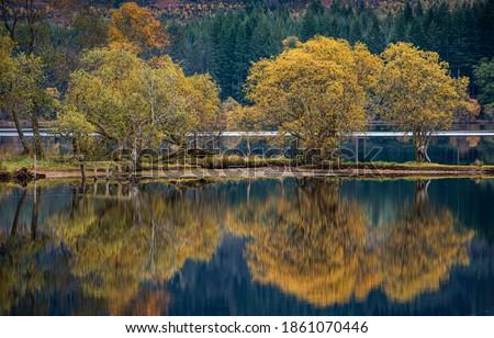 A small group of trees in the Trossachs National park reflecting in the calm water of Loch Ard