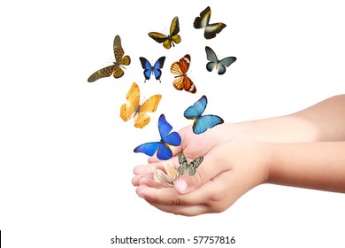 small hand and colorful butterflies isolated on white