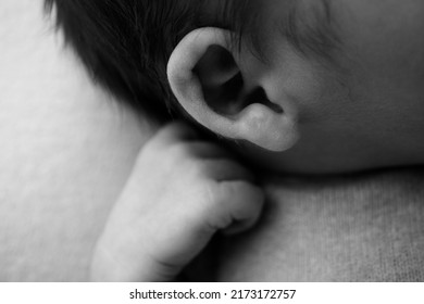 Small Hand, Head And Ear Of A Newborn Baby. Studio Macro Photography. Black And White Photography.