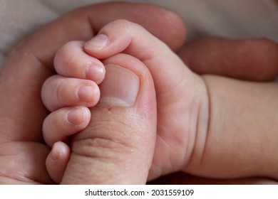 Small hand of a newborn in the big hand of an adult.