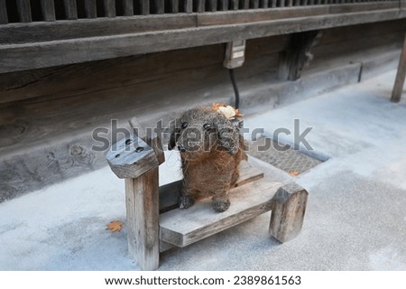 Small handmade dog objec found on a street corner