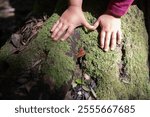 Small hands gently exploring the texture of a mossy tree trunk, connecting with nature