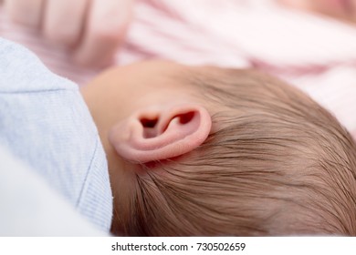 A Small Head Of A Newborn Sleeping Baby Boy Wrapped In Swaddling Clothes With A Soft Ear, The First Black Wet Hair, And Thin Swarthy Skin 